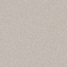 Линолеум коммерческий Tarkett Pragmatic FOCUS 2